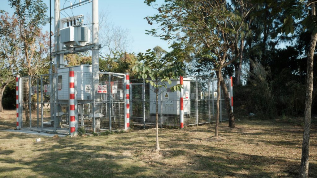 A fenced in area with a lot of trees